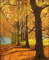 F Bromley jelzéssel: Őszi erdő. Olaj, farost. Dekoratív, bal felső sarkában kissé sérült fa keretben, 50×40 cm
