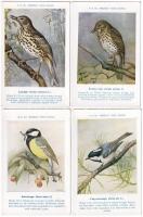 A m. kir. Madártani Intézet kliséi. Hazai Madaraink képsorozat - 32 db régi használatlan képeslap / ...