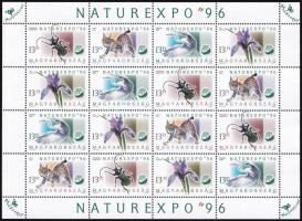 1996 Naturexpo 5 db teljes ív (12.500)