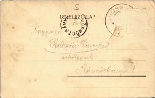 1904 Lillafüred (Miskolc), Peleház, Herman Ottó villa, nyaraló (Rb)