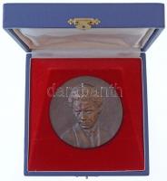 ~1970-1980. "A József Attila Gimnázium és Szakközépiskola 25. évfordulója" Br plakett, ere...