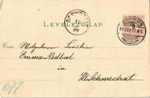 1899 (Vorläufer) Sopron, Oedenburg; vásár, piac, Karl Pollak üzlete. L.F. Kummert No. 66. / Jahrmark...