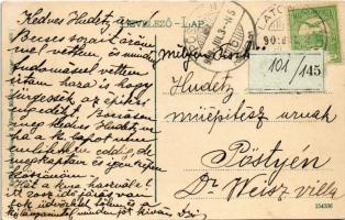 1909 Balatonfüred, Balaton vendéglő kerthelyisége. Koller Károly József kiadása