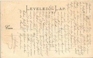 Temesvár, Timisoara; Jenő herceg tér, Rukavina emlékmű / square, monument