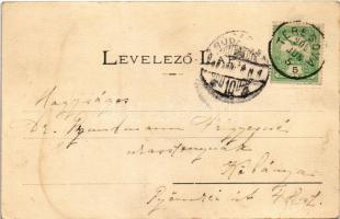 1906 Teregova, Terregova; gyár, méhkaptárak. Bonna Sándor kiadása / factory, beehives