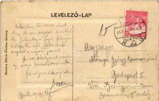 1917 Hátszeg, Hateg; Rudolf utca, Hunyadmegyei első takarékpénztár. Sbuchea Miklós kiadása / street,...