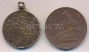 1896. "Ezredéves Történetünk Ezredekre Remény Nekünk - Honfoglalás" millenniumi Br emlékér...