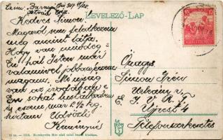 1917 Csíz, Csízfürdő, Kúpele Cíz; Orsz. tanítói árvaházak szanatóriuma. Herskovits Mór kiadása / san...