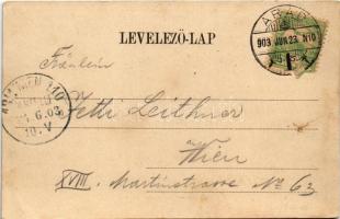 1903 Arad, Maros part, uszoda, gyár. Bloch H. / Mures riverside, swimming pool, factory