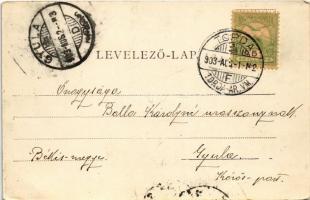 1903 Torda, Turda; Posta és pénzügyi palota, piac, Mike Márton gyógyszertár, Flachbart Károly üzlete...