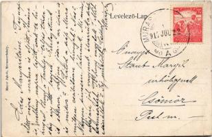 1917 Muraszerdahely, Mursko Sredisce; Mura híd / Mur river bridge (apró szakadások / tiny tears)