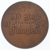 DN "Old Boys of Vasas SC Budapest" kétoldalas Br labdarúgó sport emlékérem, egyik oldalon ...