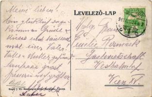 1912 Újvidék, Novi sad; Duna utca, Singer J. udvari fényképész és Cortán és Donáti, villamos / stree...