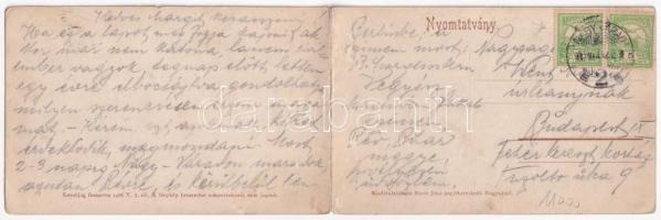 1915 Nagyvárad, Oradea; Ezredévi emléktér, híd. Boros Jenő kiadása. kihajható panorámalap / square, ...