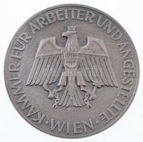 Ausztria DN KAMMER FÜR ARBEITER UND ANGESTELLTE WIEN / ANLASSLICH DES 25 JAHRIGEN BETRIEBSJUBILAUMS kétoldalas, jelzett Ag emlékérem, névre szóló gravírozással (57,84g/0.900/56mm) T:1- Austria ND KAMMER FÜR ARBEITER UND ANGESTELLTE WIEN / ANLASSLICH DES 25 JAHRIGEN BETRIEBSJUBILAUMS double-sided, hallmarked Ag commemorative medallion, with personalized engraving (57,84g/0.900/56mm) C:AU
