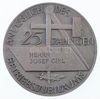 Ausztria DN "KAMMER FÜR ARBEITER UND ANGESTELLTE WIEN / ANLASSLICH DES 25 JAHRIGEN BETRIEBSJUBI...