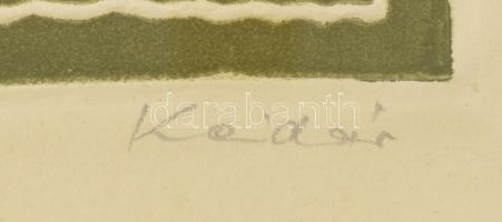 Kádár György (1912-2002): Kerti virágok. Színes linómetszet, dombornyomás, papír, jelzett, üvegezett...