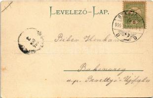 1905 Palics, Palic; fürdő részlet csónakázó társasággal / swimming pool, spa, boat trip