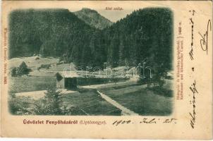 1900 Fenyőháza, Lubochna (Liptó megye); Alsó zsilip. Wlaszlovits Gusztáv 1063. / sluice (EB)