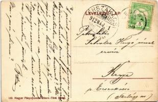 1912 Ledény, Ladzany; templom, paplak, iskola, Méltóságos Ruston urasági kastélya, Brüll Jakab keres...