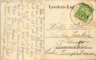 Nagyősz, Nagy Ősz, Triebswetter, Tomnatic; Schleich féle malom / Mühle / mill (fl)