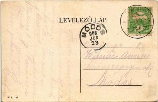 1908 Temesvár, Timisoara; Béga részlet, híd, rakpart piac. W.L. 145. / riverside, quay market, bridg...