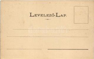 Marosszentgyörgy, Sangeorgiu de Mures, Sangeorgiul-Roman; Máriaffi Lajos kastélya, ménes, kert, 500 ...