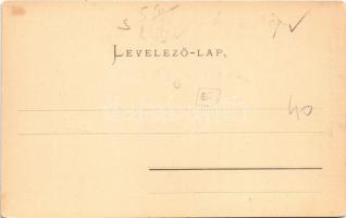 Zernest, Zernyest, Zarnesti; Hotelul nou, Farmacie / Neues Hotel, Apotheke / Új szálloda, Központi s...