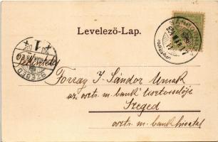 1904 Sándorháza, Sandra; Községi iskola, Római katolikus templom, községháza, nagy vendéglő / school...