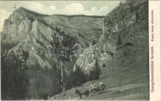 1913 Gyergyói-havasok, Muntii Giurgeu (Gyergyószentmiklós, Gheorgheni); Kupás havas előrészlete. Burján és Székely kiadása / mountain (EK)