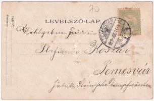 1905 Temesvár, Timisoara; Józsefváros, Kossuth Lajos utca, üzletek / street view, shops (fl)