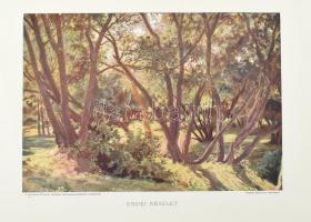 cca 1910 3 db madaras nyomat + egy Székely Bertalan kép nyomata 33x40 cm