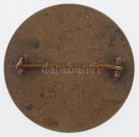 Osztrák-Magyar Monarchia 1915. "Erzsébet Királyné Békemedál" ezüstözött fém patrióta kitűz...