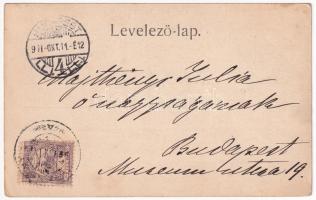 1901 Lukanénye, L. Nénye, Nenince; Majthényi kastély. Levél Majthényi Júliának címezve / castle (fl)