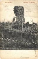 1905 Dömös, Béla vár romjai. Lengyel Rudolf kiadása (EB)