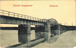 1912 Szeghalom, Berettyó híd. W.L. Bp. 1544. (EM)