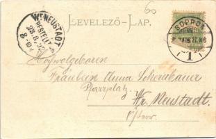 1902 Sopron, Felsőbb leányiskola. L. Kummert kiadása (fl)