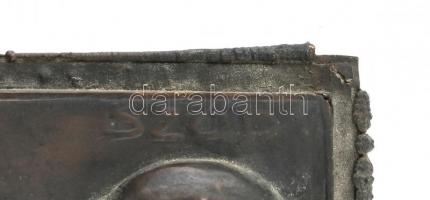 Sződy Szilárd (1878-1939): Tisztaság. Bronz dombormű, jelzett, 22,5x13 cm