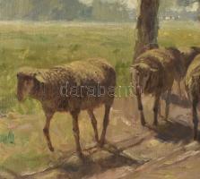 Liptai A. jelzéssel: Birkanyáj. XX. század első fele. Olaj, vászon, szép dekoratív keretben. 60x70 c...