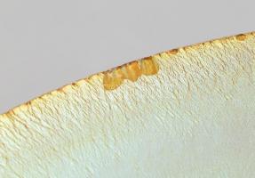 Art Deco dísztál. Fúvott üveg, bordázott felületén irizáló díszítmény. Jelzés nélkül. Peremén apróbb...