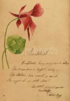 1908 Emlékkönyv, kézzel írt bejegyzésekkel, versekkel, litográfiával és rajzokkal díszítve. Kopott, ...