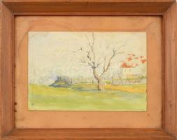 Demeczkyné Volf Irma (1874-1957): Virágos mandulafa a Rózsadombon. Akvarell, papír, kartonra kasírozva, jelzett, hátoldalán autográf felirattal, foltos. Üvegezett fa keretben. 12,5x18,5 cm