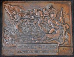 1914-1917. I. világháborús osztrák-magyar és német emlékérem összeállítás korabeli üvegezett keretbe...