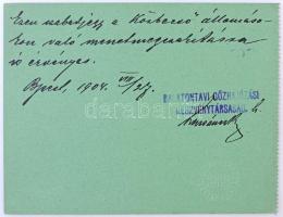 Budapest 1904. "Balatontavi Gőzhajózási Részvény-Társaság" névre szóló szabadjegye, kitölt...