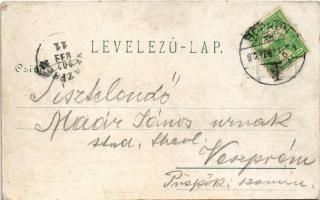 1902 Sopron, Árvíz 1900 április 8-án. Kummert L. 193