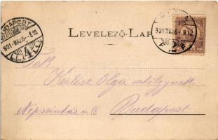 1901 Eperjes, Presov; Vármegyeháza és népviselet / county hall and folklore. Art Nouveau, floral