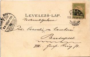 1903 Versec, Vrsac; Ferenc József tér, piac, Steiner, Wassermann, Győri és Bruder Walke üzlete. Wilh...