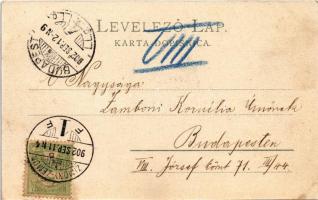 1902 Zimony, Semlin, Zemun;Duna rakpart. Joh. Pulyo / Donau Quai / Danube quay (r)