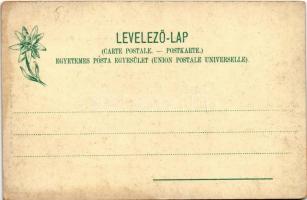 Tátra, Magas-Tátra, Vysoké Tatry; Kilátás a Hinczkó tóról a Menguszfalvi völgybe. Feitzinger Ede 190...