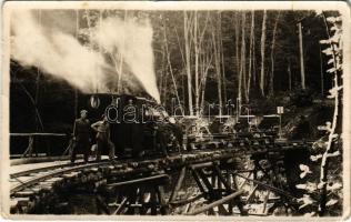 Bad Gleichenberg, Schmalspur-Industriebahn / narrow gauge industrial railway, locomotive, wooden bridge. Atelier Hoppichler, photo (EK)